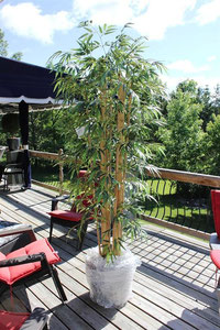 'Bamboo 7feet' by Artistic Artificial Trees